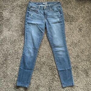 Sonoma Skinny Size 8L